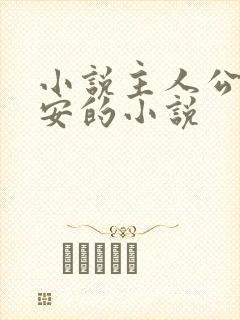 小说主人公李辰安的小说