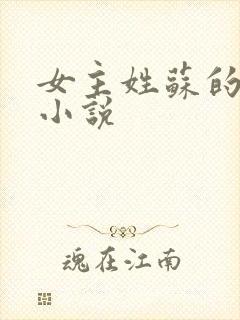 女主姓苏的校园小说