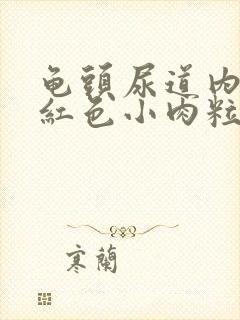 龟头尿道内侧长红色小肉粒