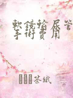 软镜输尿管结石手术费用