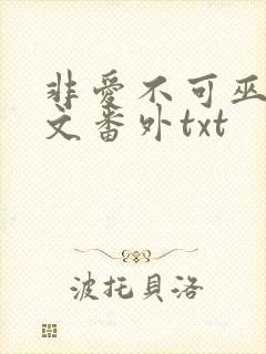 非爱不可巫哲全文番外txt