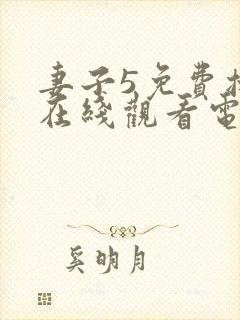 妻子5免费播放在线观看电视剧韩剧