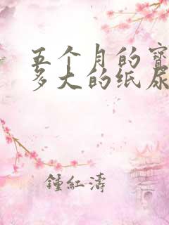 五个月的宝宝穿多大的纸尿裤