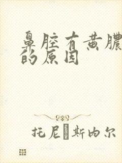 鼻腔有黄脓鼻涕的原因