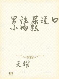 男性尿道口上长小肉粒