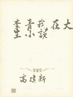 李青我在大明长生小说