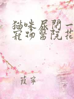 猫咪尿闭一般上宠物医院花多少钱