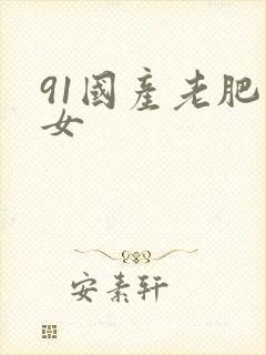 91国产老肥熟女