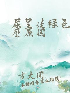 尿呈淡绿色是什么原因