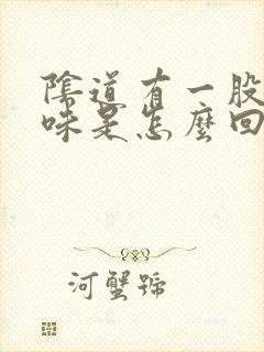 阴道有一股腥臭味是怎么回事