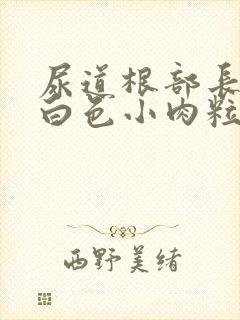 尿道根部长了个白色小肉粒