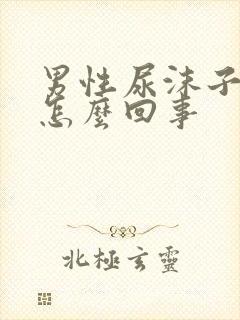 男性尿沫子多是怎么回事