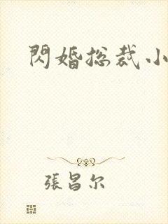 闪婚总裁小甜妻