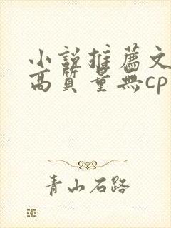 小说推荐文笔好高质量无cp