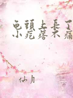 龟头上长了红点小疙瘩不痛不痒