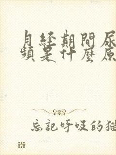 月经期间尿多尿频是什么原因