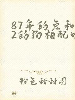 87年的兔和82的狗相配吗