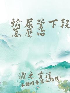 输尿管下段结石怎么治