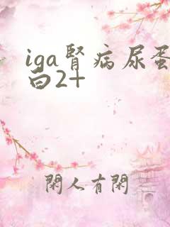 iga肾病尿蛋白2+