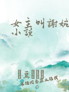 女主叫谢婉凝的小说