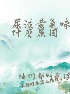 尿液黄氨味重是什么原因