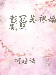 彭冠英裸婚时代剧照