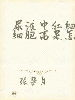 尿液中红细胞白细胞高是怎么回事