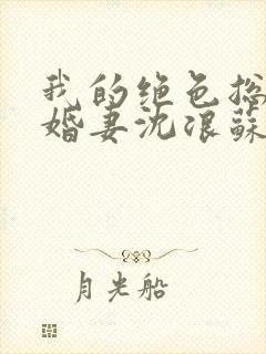 我的绝色总裁未婚妻沈浪苏若雪