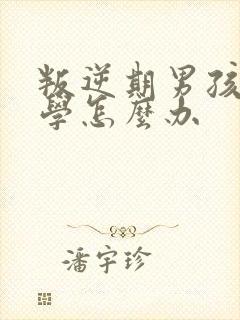 叛逆期男孩子厌学怎么办