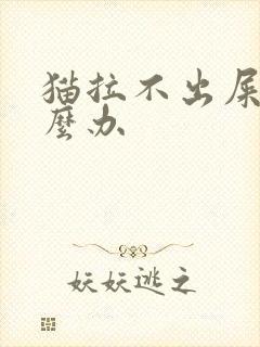 猫拉不出屎尿怎么办