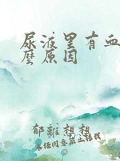 尿液里有血是什么原因