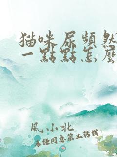 猫咪尿频然后尿一点点怎么回事