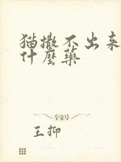 猫撒不出来尿吃什么药