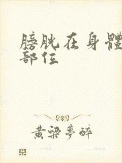 膀胱在身体哪个部位