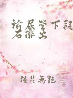 输尿管下段有结石排出