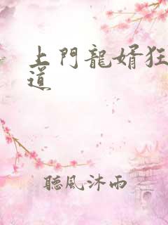 上门龙婿狂婿当道