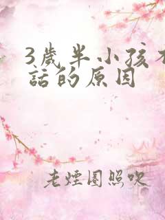 3岁半小孩不说话的原因