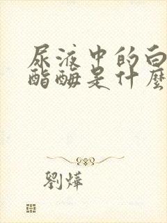 尿液中的白细胞酯酶是什么意思