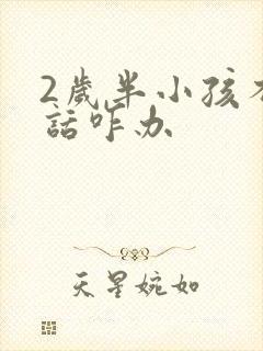 2岁半小孩不说话咋办