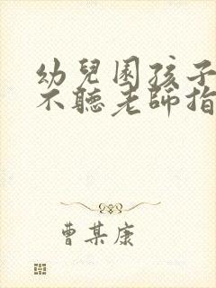 幼儿园孩子上课不听老师指令