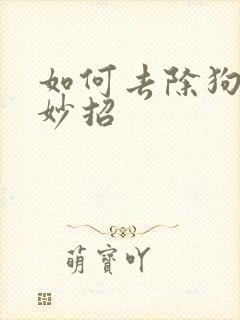 如何去除狗尿味妙招