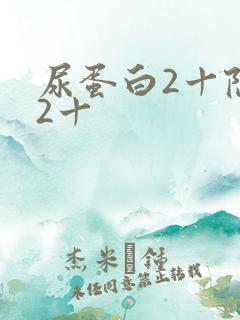 尿蛋白2十隐血2十