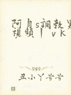 阿月s调教男奴视频丨ⅴk