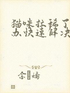 猫咪拉稀了怎么办快速解决