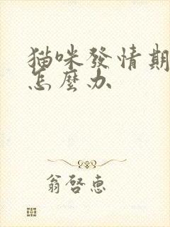 猫咪发情期乱尿怎么办