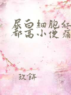 尿白细胞红细胞都高小便痛