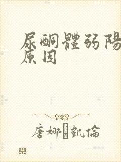 尿酮体弱阳性的原因