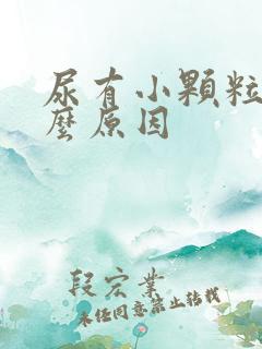 尿有小颗粒是什么原因