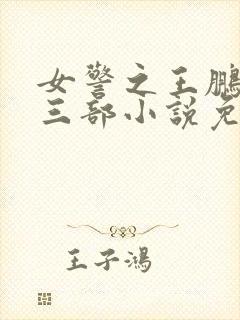 女警之王鹏篇第三部小说免费阅读