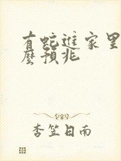 有蛇进家里是什么预兆